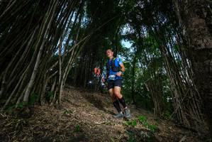 BIB: 
                            <button type="button" onclick="openModal(19395284)" class="btn btn-primary btn-sm float-right btn-popup" data-toggle="modal" data-target=".modal-high-quality">
                        <i class="fas fa-shopping-cart"></i> Add to Cart
                    </button>
                                            <button type="button" onclick="isThisMe(19395284, true)" class="btn btn-success btn-sm float-right btn-popup btn-isme hidden" data-toggle="tooltip" data-placement="bottom" title="นี่คือรูปของคุณใช่ไหม คลิกที่นี่เพื่อเอาเข้าอัลบั้ม">
                        <i class="fas fa-plus"></i> Add to album
                    </button>
                    <button type="button" onclick="isThisMe(19395284, false)" class="btn btn-warning btn-sm float-right btn-popup btn-isnotme hidden">
                        <i class="fas fa-ban"></i> Remove from album
                    </button>